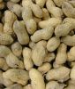 Erdnüsse mit Schale 500 g